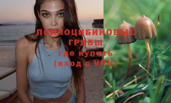 МДПВ Вязники