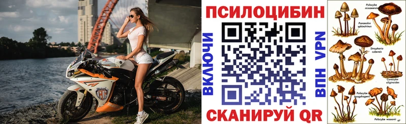Галлюциногенные грибы Psilocybe Калуга